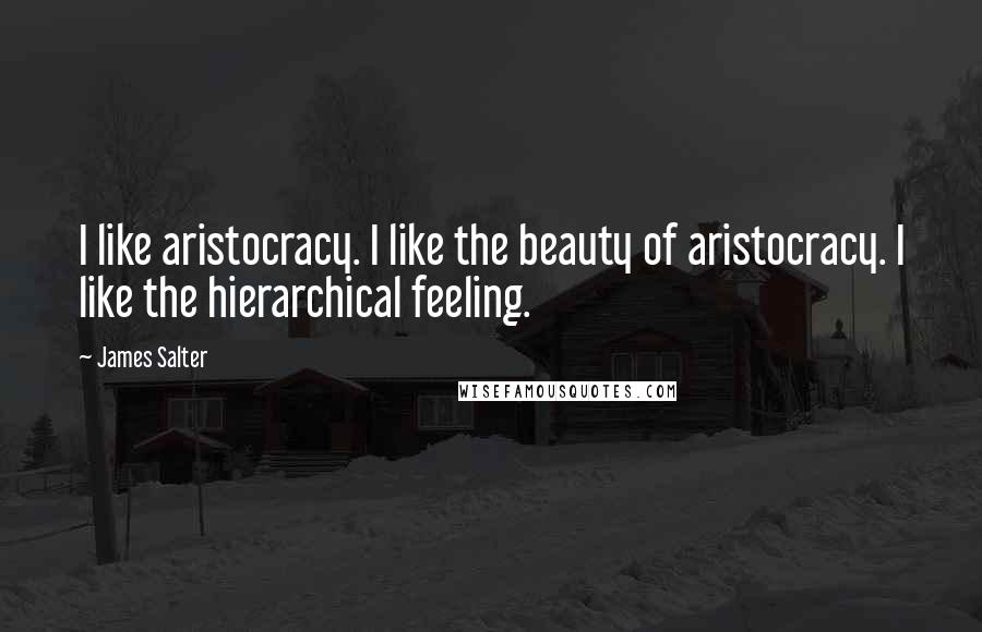 James Salter Quotes: I like aristocracy. I like the beauty of aristocracy. I like the hierarchical feeling.