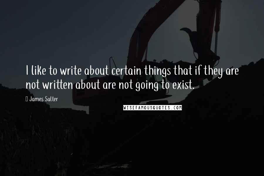 James Salter Quotes: I like to write about certain things that if they are not written about are not going to exist.