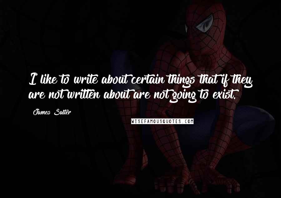 James Salter Quotes: I like to write about certain things that if they are not written about are not going to exist.