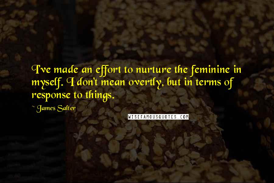 James Salter Quotes: I've made an effort to nurture the feminine in myself. I don't mean overtly, but in terms of response to things.