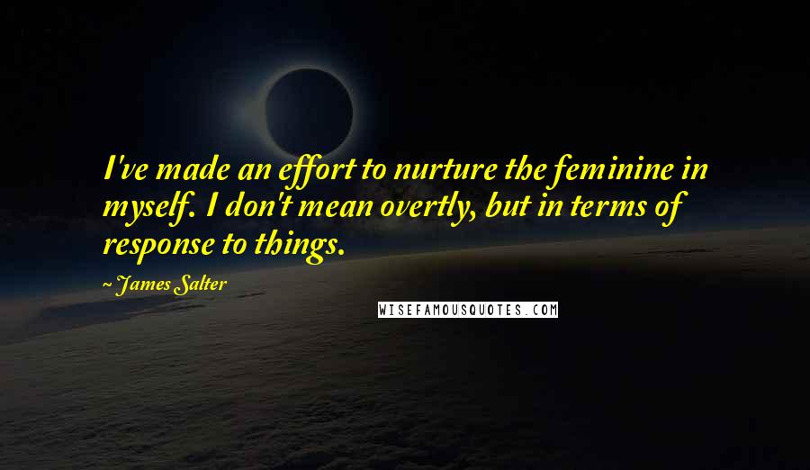 James Salter Quotes: I've made an effort to nurture the feminine in myself. I don't mean overtly, but in terms of response to things.
