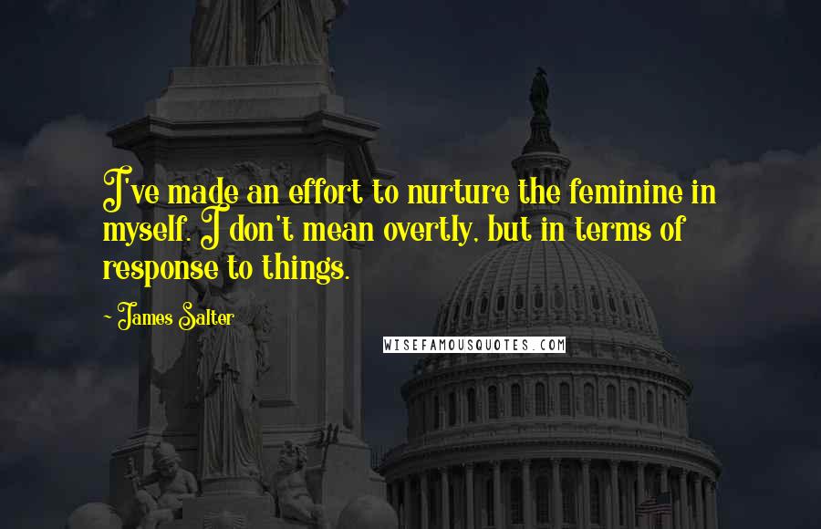 James Salter Quotes: I've made an effort to nurture the feminine in myself. I don't mean overtly, but in terms of response to things.