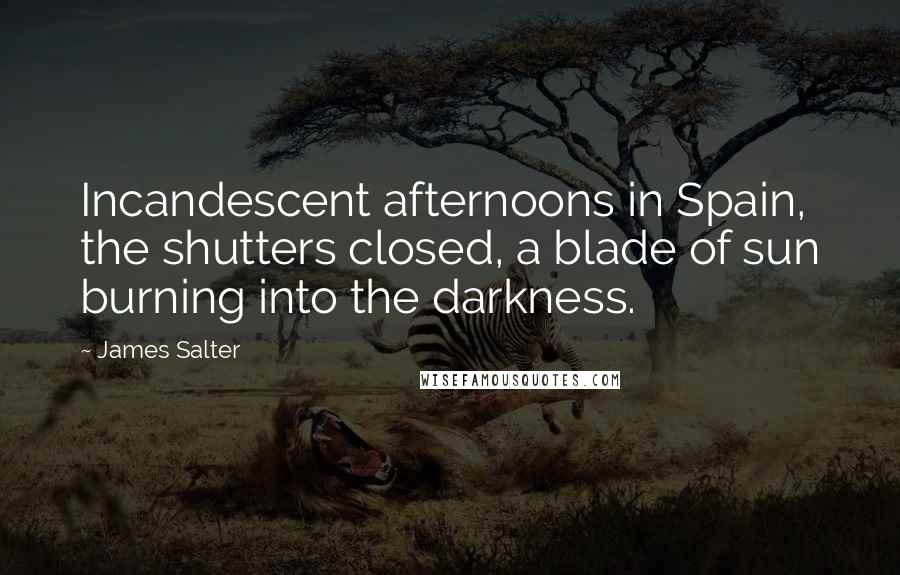 James Salter Quotes: Incandescent afternoons in Spain, the shutters closed, a blade of sun burning into the darkness.