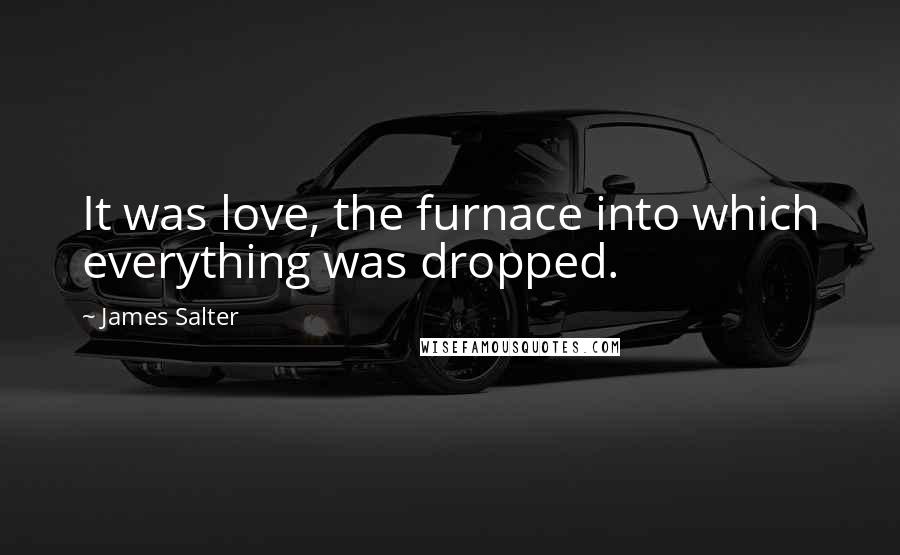 James Salter Quotes: It was love, the furnace into which everything was dropped.