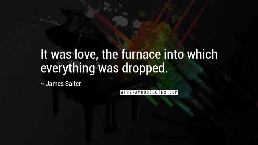 James Salter Quotes: It was love, the furnace into which everything was dropped.