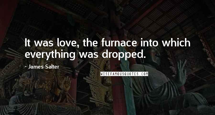 James Salter Quotes: It was love, the furnace into which everything was dropped.