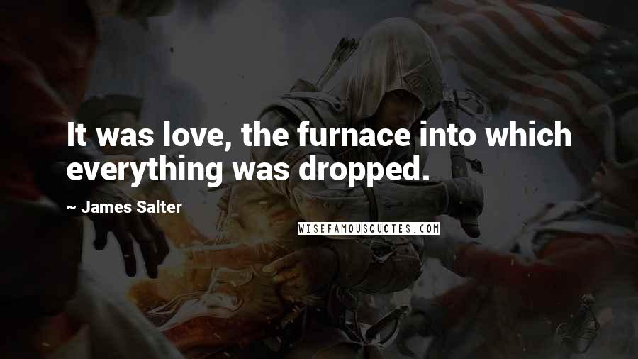 James Salter Quotes: It was love, the furnace into which everything was dropped.