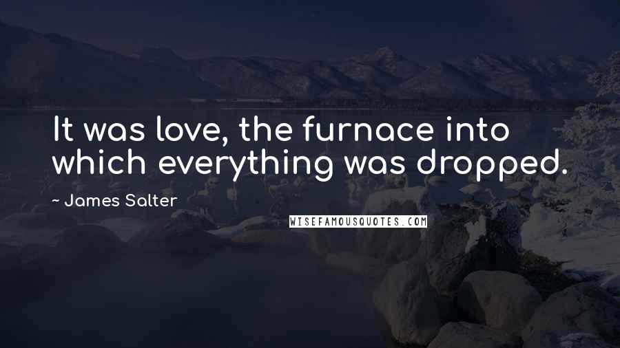 James Salter Quotes: It was love, the furnace into which everything was dropped.