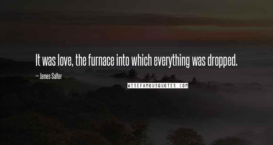 James Salter Quotes: It was love, the furnace into which everything was dropped.