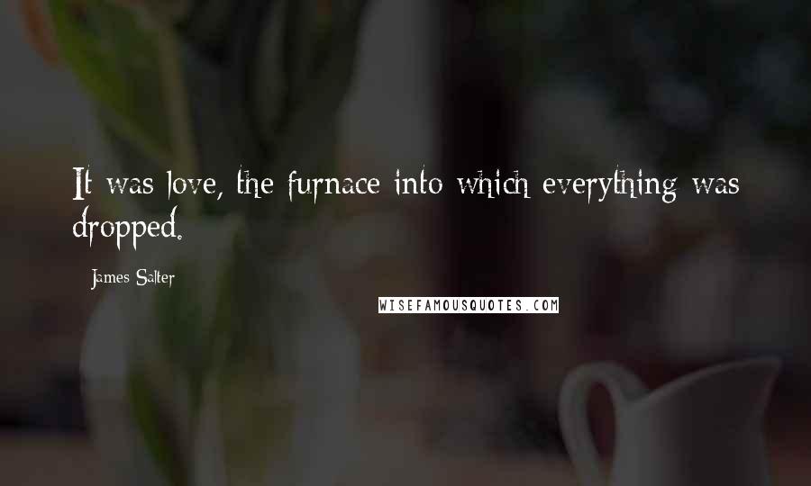 James Salter Quotes: It was love, the furnace into which everything was dropped.