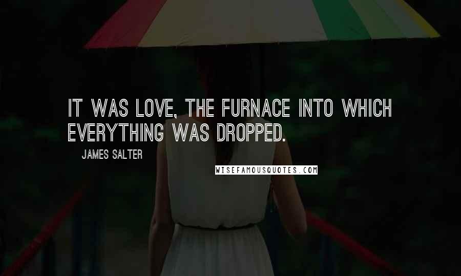 James Salter Quotes: It was love, the furnace into which everything was dropped.