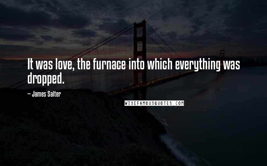 James Salter Quotes: It was love, the furnace into which everything was dropped.