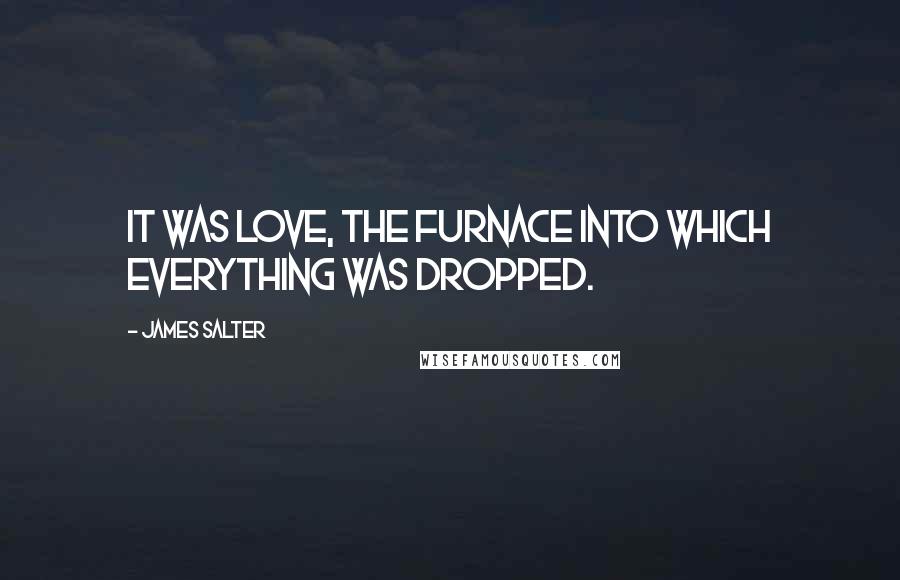 James Salter Quotes: It was love, the furnace into which everything was dropped.