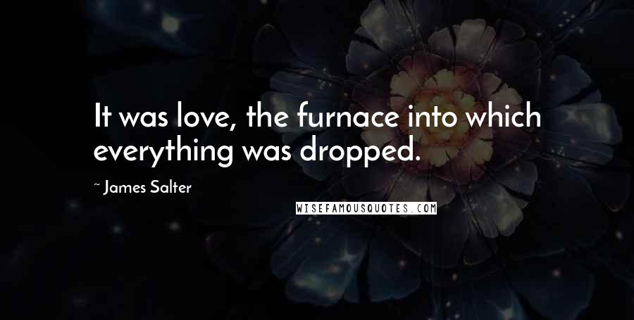 James Salter Quotes: It was love, the furnace into which everything was dropped.