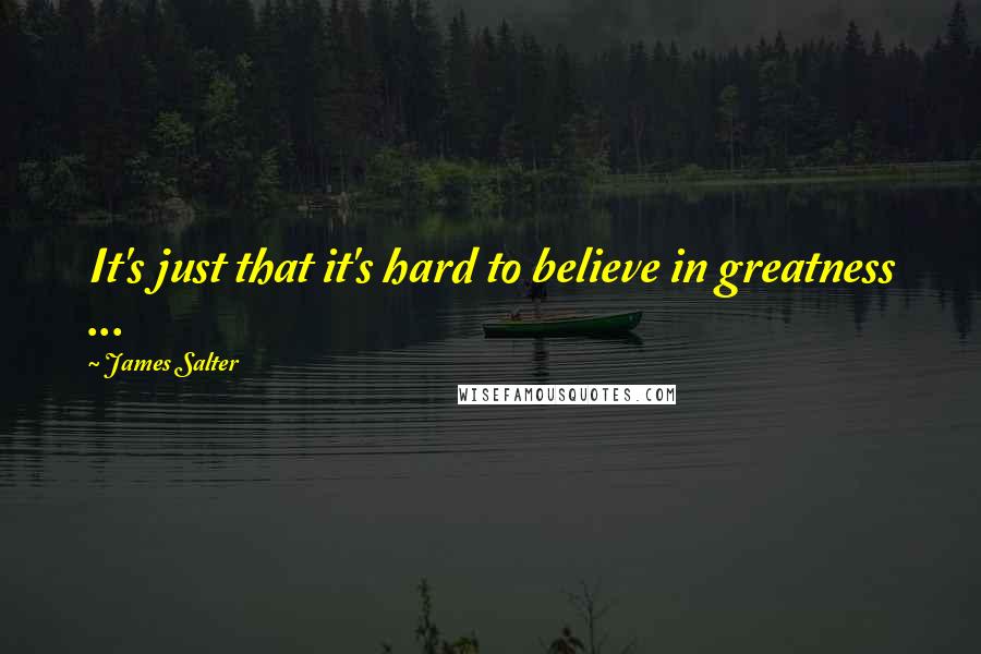 James Salter Quotes: It's just that it's hard to believe in greatness ...