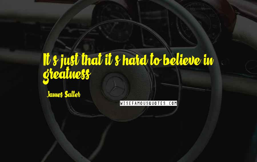 James Salter Quotes: It's just that it's hard to believe in greatness ...