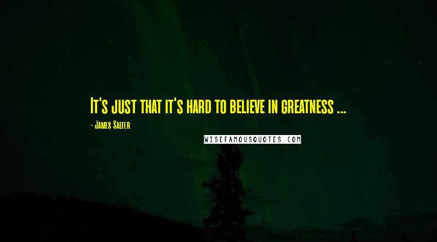 James Salter Quotes: It's just that it's hard to believe in greatness ...