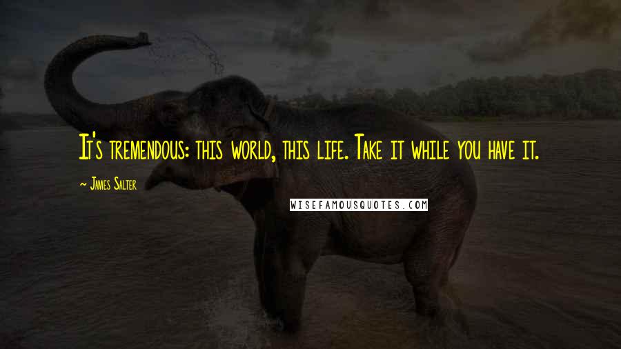 James Salter Quotes: It's tremendous: this world, this life. Take it while you have it.