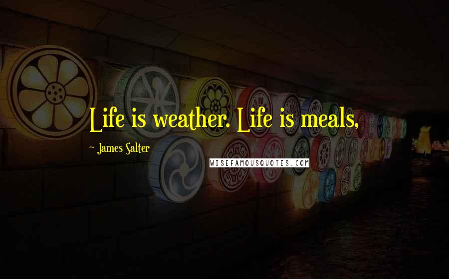 James Salter Quotes: Life is weather. Life is meals,