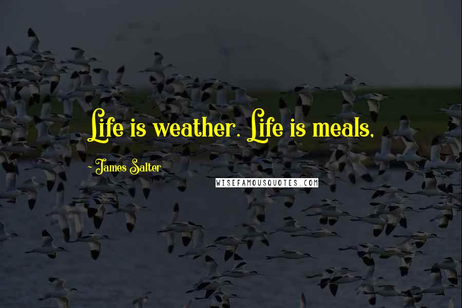 James Salter Quotes: Life is weather. Life is meals,