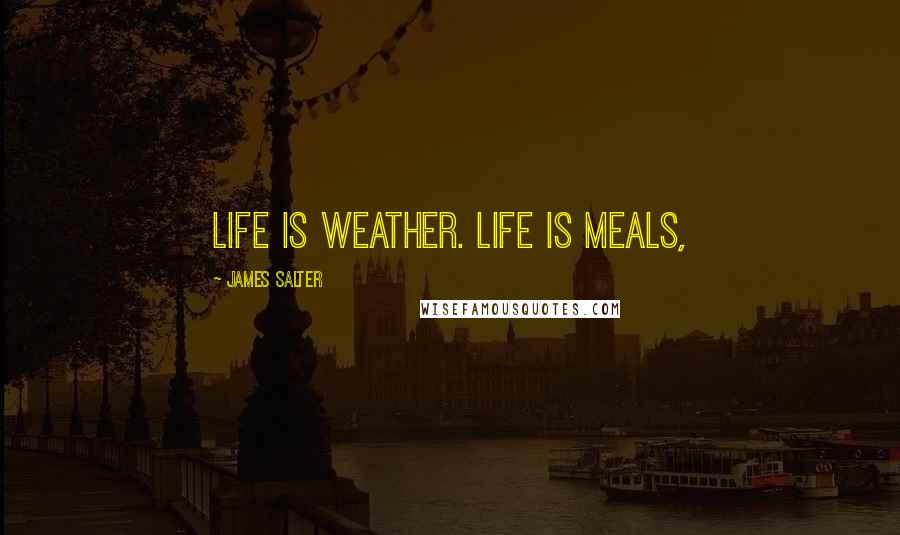 James Salter Quotes: Life is weather. Life is meals,