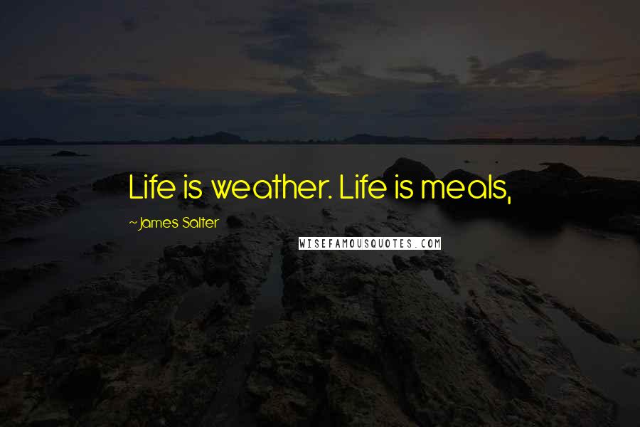 James Salter Quotes: Life is weather. Life is meals,