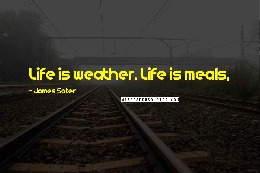 James Salter Quotes: Life is weather. Life is meals,