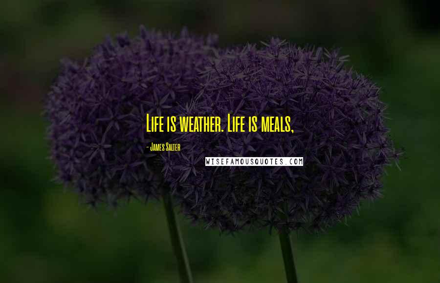 James Salter Quotes: Life is weather. Life is meals,