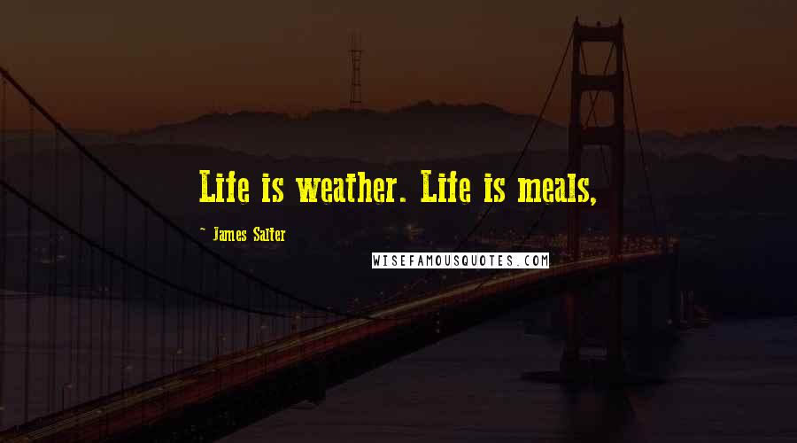 James Salter Quotes: Life is weather. Life is meals,