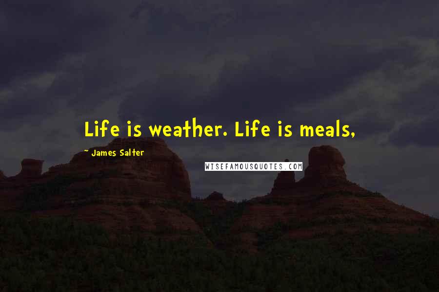 James Salter Quotes: Life is weather. Life is meals,