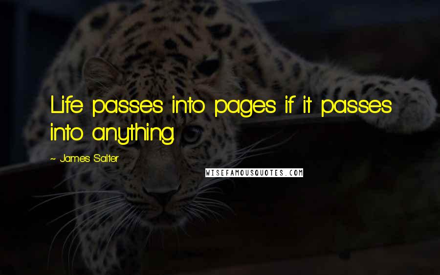 James Salter Quotes: Life passes into pages if it passes into anything.