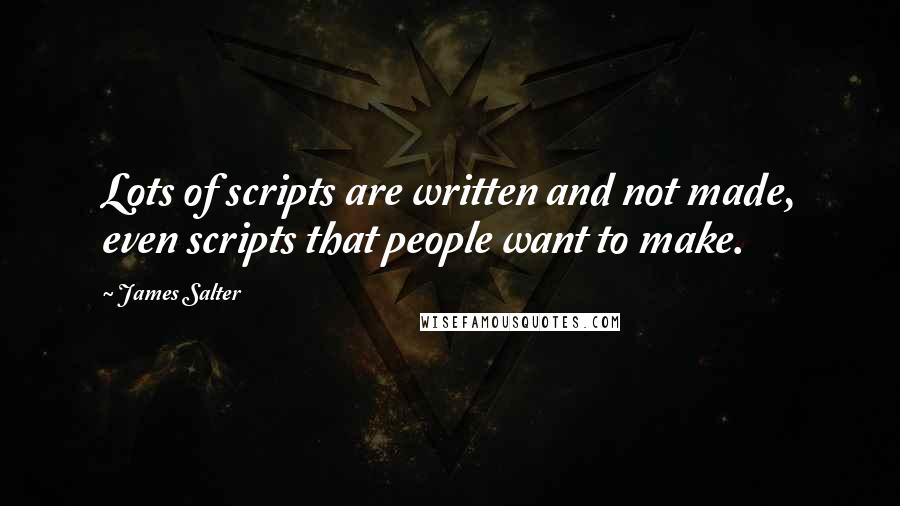 James Salter Quotes: Lots of scripts are written and not made, even scripts that people want to make.