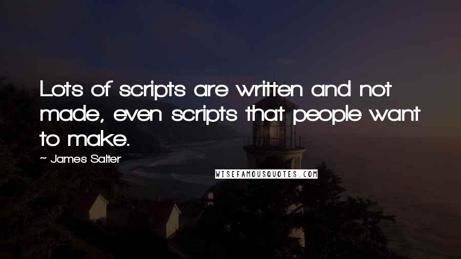 James Salter Quotes: Lots of scripts are written and not made, even scripts that people want to make.