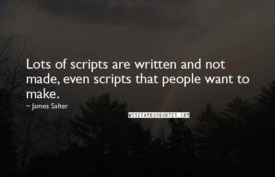 James Salter Quotes: Lots of scripts are written and not made, even scripts that people want to make.