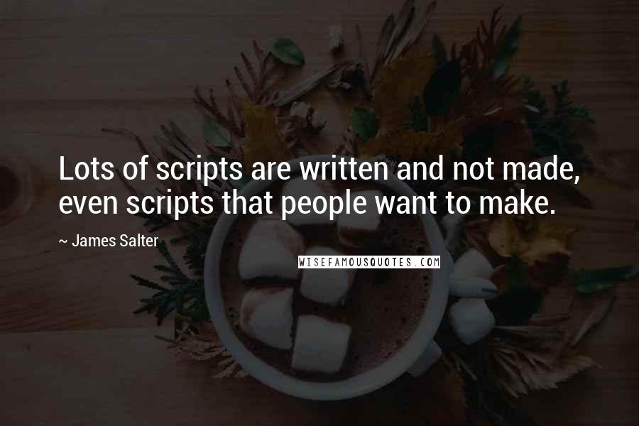 James Salter Quotes: Lots of scripts are written and not made, even scripts that people want to make.