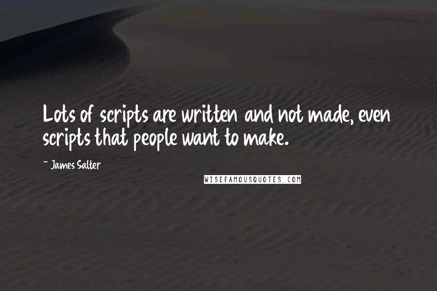 James Salter Quotes: Lots of scripts are written and not made, even scripts that people want to make.