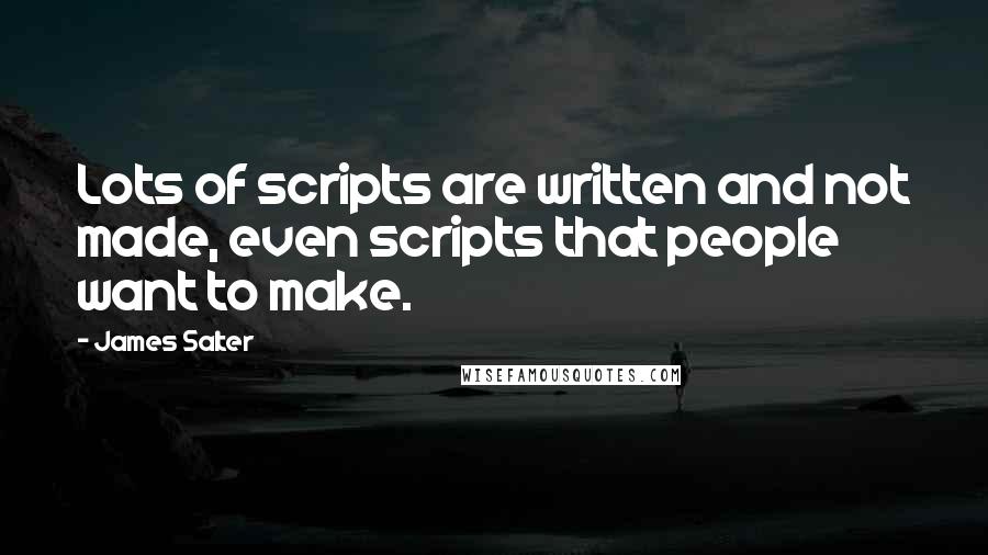 James Salter Quotes: Lots of scripts are written and not made, even scripts that people want to make.