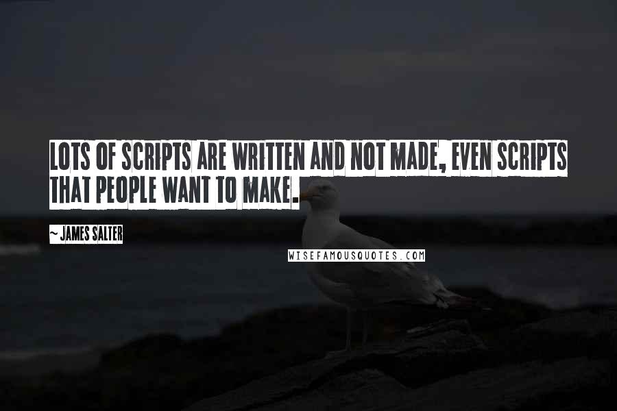 James Salter Quotes: Lots of scripts are written and not made, even scripts that people want to make.