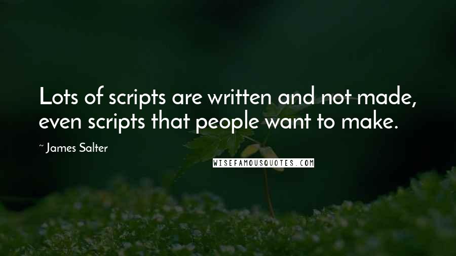 James Salter Quotes: Lots of scripts are written and not made, even scripts that people want to make.