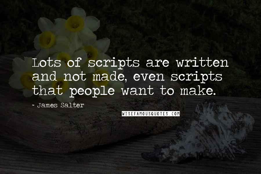 James Salter Quotes: Lots of scripts are written and not made, even scripts that people want to make.