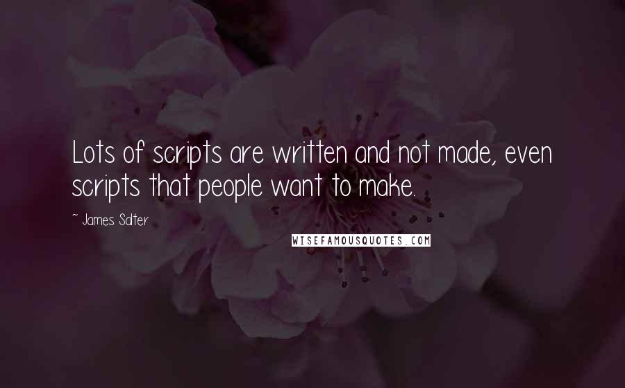 James Salter Quotes: Lots of scripts are written and not made, even scripts that people want to make.