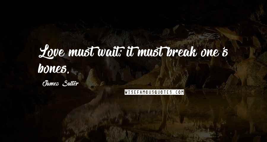 James Salter Quotes: Love must wait; it must break one's bones.