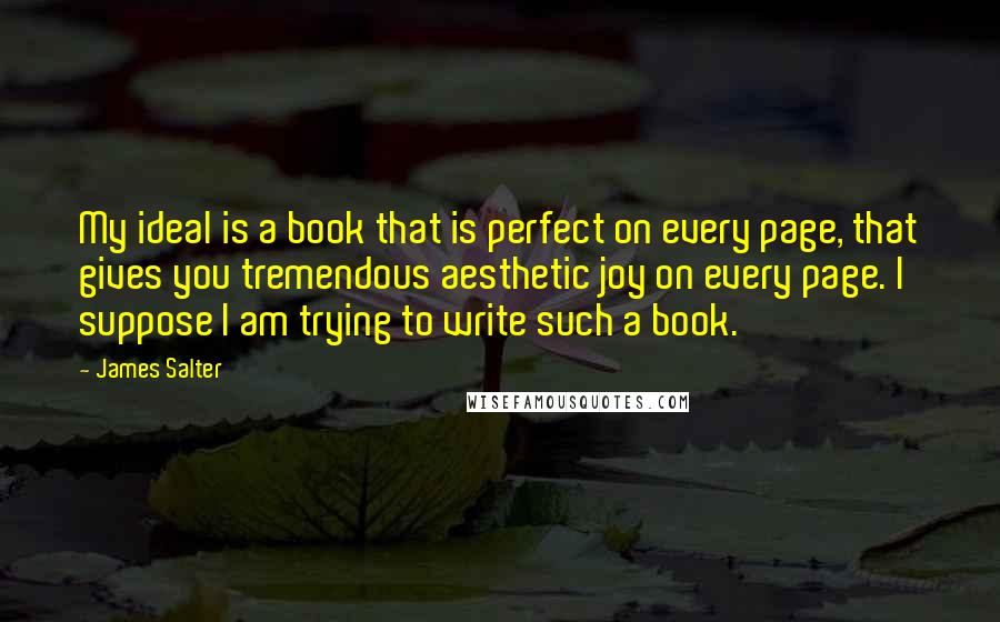 James Salter Quotes: My ideal is a book that is perfect on every page, that gives you tremendous aesthetic joy on every page. I suppose I am trying to write such a book.