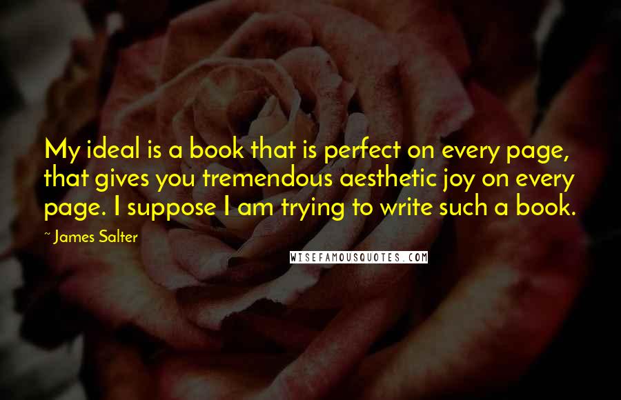 James Salter Quotes: My ideal is a book that is perfect on every page, that gives you tremendous aesthetic joy on every page. I suppose I am trying to write such a book.