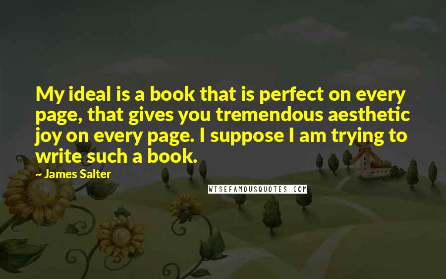 James Salter Quotes: My ideal is a book that is perfect on every page, that gives you tremendous aesthetic joy on every page. I suppose I am trying to write such a book.