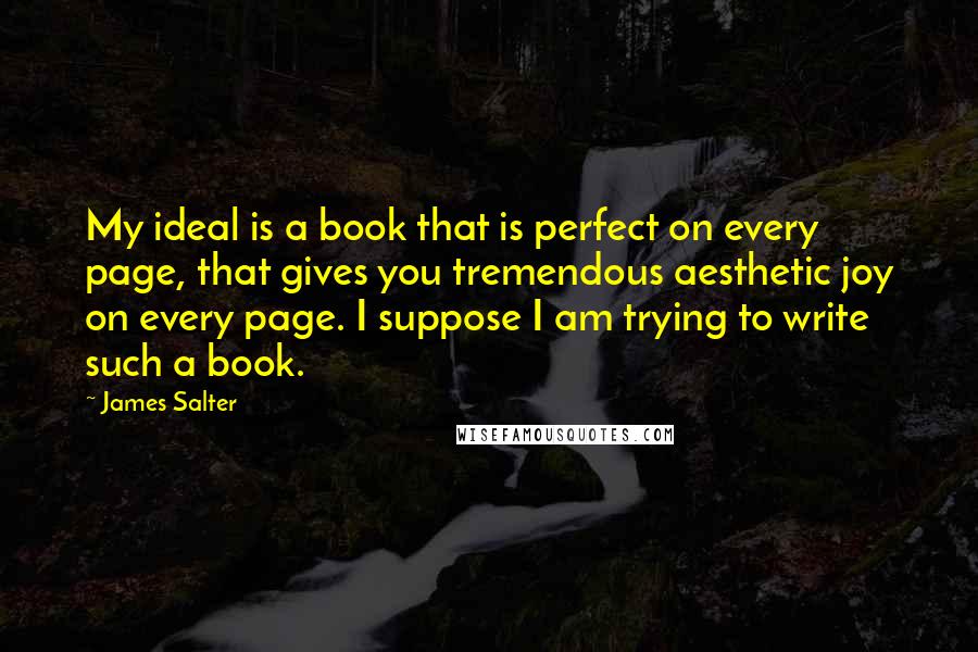 James Salter Quotes: My ideal is a book that is perfect on every page, that gives you tremendous aesthetic joy on every page. I suppose I am trying to write such a book.