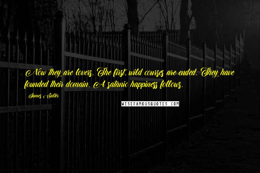 James Salter Quotes: Now they are lovers. The first, wild courses are ended. They have founded their domain. A satanic happiness follows.