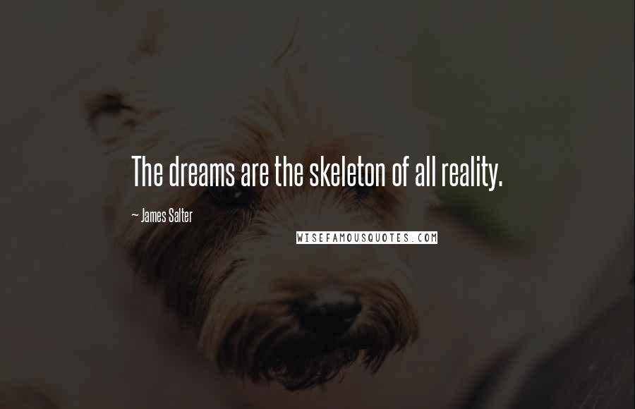 James Salter Quotes: The dreams are the skeleton of all reality.