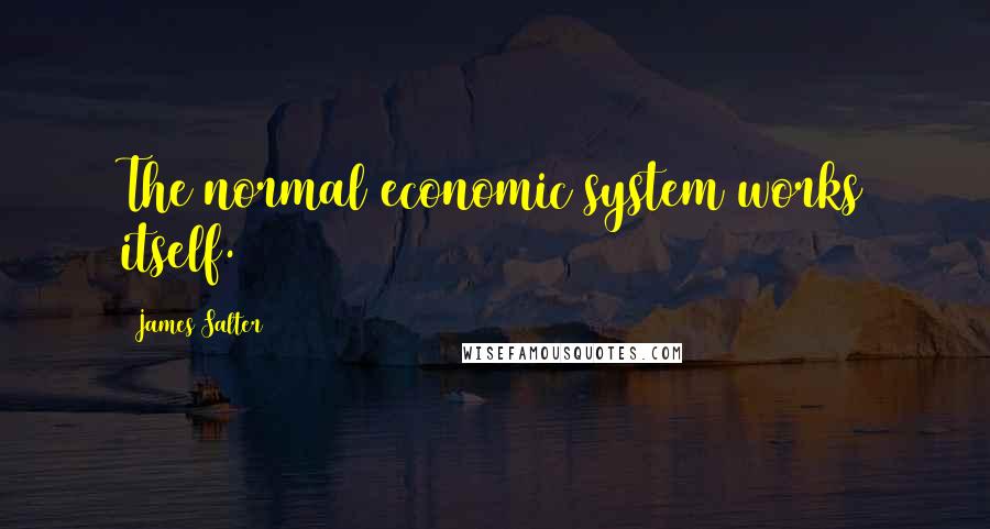 James Salter Quotes: The normal economic system works itself.