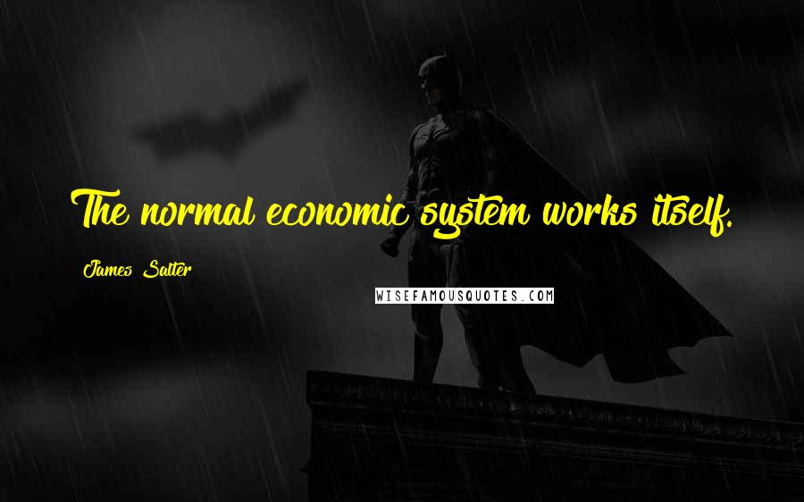 James Salter Quotes: The normal economic system works itself.